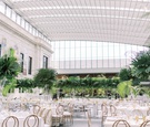 Natural Light-Filled Reception Space