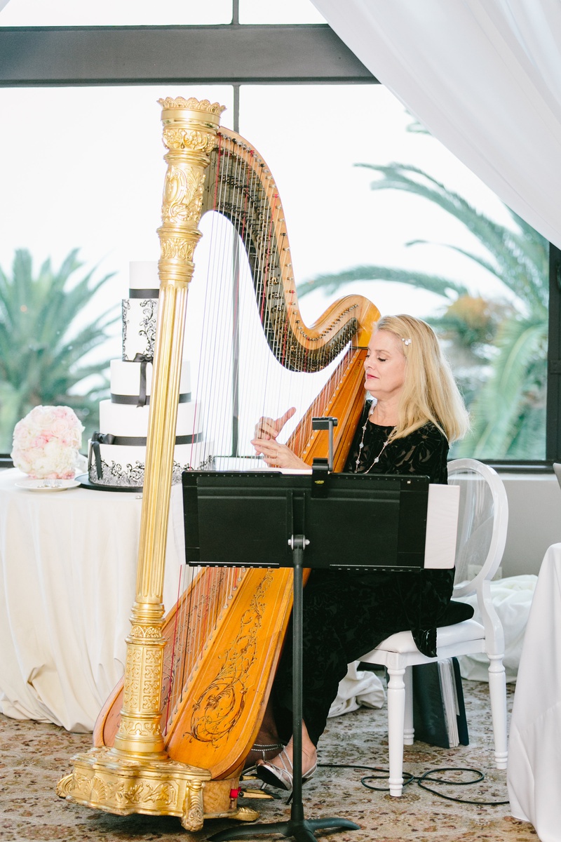 Harpist Performs at Reception
Photography: Jodee Debes Photography
Read More:
http://www.insideweddings.com/weddings/elegant-alfresco-ceremony-reception-with-parisian-elements/1176/ harpist performs at wedding, live music at wedding, harpist at cocktail hour