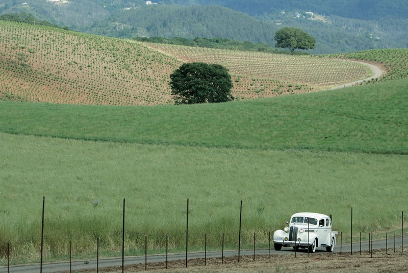 Transportation
Photography: Sherman Chu Photographer
Read More:
http://www.insideweddings.com/weddings/elegant-garden-style-vineyard-wedding-in-sonoma-california/205/ Wedding transportation in a classic white car