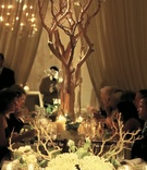 Dinner Party-Inspired Décor
Photography: KingenSmith
Read More:
http://www.insideweddings.com/weddings/sophisticated-wedding-in-chicago-with-branch-succulent-decor/162/ Manzanita branches and coral centerpiece