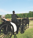 Horse-Drawn Carriage
Photography: Perspective Studio Photography
Read More:
http://www.insideweddings.com/weddings/romantic-summer-winery-wedding-in-st-croix-falls-wisconsin/230/ Carriage driver wearing top hat to ceremony