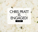 Chris Pratt %26 Katherine Schwarzenegger are Engaged!
Article: Chris Pratt %26 Katherine Schwarzenegger Are Engaged!
Photography: Brandon Chesbro
Read More:
http://www.insideweddings.com/news/celebrity-style/chris-pratt-katherine-schwarzenegger-are-engaged/4657/ Chris Pratt and Katherine Schwarzenegger announce their engagement