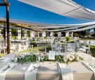 Alfresco Reception, Champagne Tablescapes