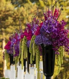 Altar Flower Arrangements
Photography: Images by Berit, Inc.
Read More:
http://www.insideweddings.com/weddings/contemporary-ballroom-wedding-with-pops-of-purple/408/ Black vases with purple and green flowers at ceremony