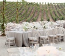 Vineyard Wedding Reception