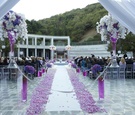 Lavender Ceremony Entrance