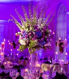 Towering Purple Flower Arrangements
Photography: Wilson Sarkis Photography %26 Cinematography
Read More:
http://www.insideweddings.com/weddings/classic-church-ceremony-ballroom-reception-with-chic-purple-decor/1072/ Wedding reception round table decor purple lighting clear ghost chair tall centerpiece purple flower