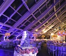 Modern Purple Reception