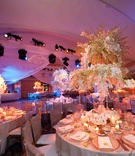 Orchid Centerpiece
Photography: Brett Matthews Photography
Read More:
http://www.insideweddings.com/weddings/romantic-fairy-tale-castle-wedding-in-new-york/389/ Wedding reception centerpiece with two tiers of orchid stems in crystal holder draped with crystals