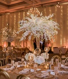 Centerpiece of Dendrobium Orchids
Photography: Willa Kveta Photography
Read More:
http://www.insideweddings.com/weddings/outdoor-ceremony-lively-reception-with-lush-white-floral-decor/1083/ tall centerpiece of dendrobium orchids in spray