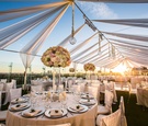 Rooftop Wedding with Overhead Drapery