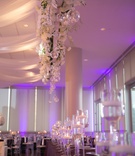 Ceiling Installation Over Head Table
Photography: Old South Studios
Read More:
http://www.insideweddings.com/weddings/retired-nba-player-brendan-haywoods-bold-modern-wedding/1381/ brendan haywood nba player wedding reception purple lighting candles white flowers drapery