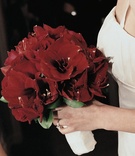 All-Red Bridal Bouquet
Photography: Cappy Hotchkiss Photography
Read More:
http://www.insideweddings.com/weddings/persian-chinese-wedding-celebration-in-new-york-city/130/ Bride holding crimson lilies wrapped in white