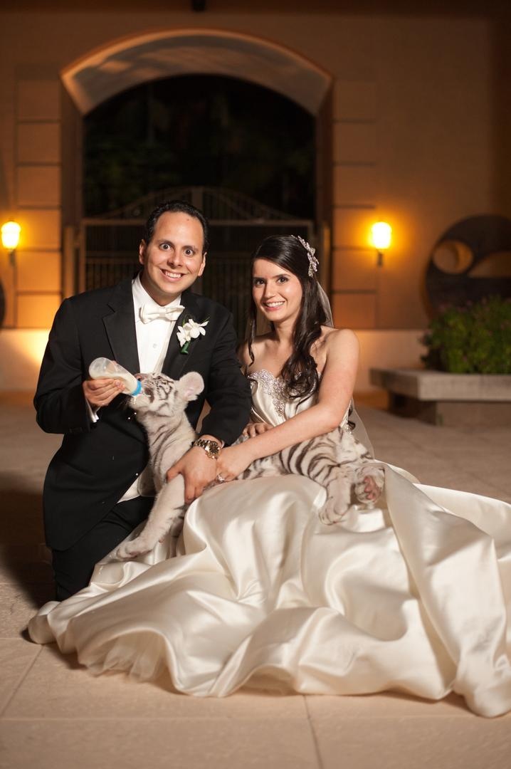 Baby White Tiger
Photography: Justin Marantz
Read More:
http://www.insideweddings.com/weddings/unforgettable-miami-wedding-with-acrobats-tiger-cubs-fireworks/437/ Bride and groom bottle feed baby white tiger cub
