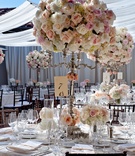 Romantic Alfresco Reception
Photography: Handeland Tesoro Photography
Read More:
http://www.insideweddings.com/weddings/romantic-ocean-view-wedding-in-santa-barbara-california/464/ White drapery on outdoor patio wedding reception