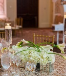Hydrangeas and Calla Lilies in Mirrored Box
Photography: Victoria Angela Photography
Read More:
http://www.insideweddings.com/weddings/church-ceremony-modern-elegant-reception-in-orlando-florida/1099/ small centerpiece of white calla lilies and hydrangeas in a mirrored box