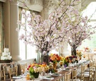 Cherry Blossom Centerpieces