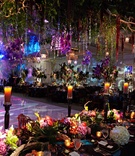 Crystals Cascading from Ceiling
Photography: KingenSmith
Read More:
http://www.insideweddings.com/weddings/colorful-ballroom-wedding-in-chicago-with-enchanted-forest-theme/820/ crystal strands and greenery suspended from ceiling in enchanted forest themed wedding