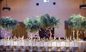 Trees on Reception Tables
Photography: Acqua Photo
Read More:
http://www.insideweddings.com/weddings/balboa-park-wedding-with-wine-inspired-color-scheme-in-san-diego/948/ wedding reception, trees with hanging candles as centerpieces