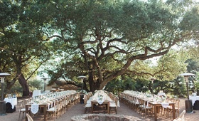 Alfresco Winery Reception Venue, California
Photography: Katie Shuler Photography
Read More:
http://www.insideweddings.com/weddings/rustic-chic-outdoor-wedding-at-a-winery-in-northern-california/945/ alfresco winery reception wedding venue northern california kunde estate family tables lights runner