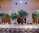 Trees on Reception Tables