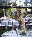 Centerpieces with Branches, Succulents, and Moss
Photography: Sallee Photography
Read More:
http://www.insideweddings.com/weddings/rustic-chic-lakeside-wedding-with-geometric-details-in-california/843/ branch centerpieces with blue succulents, moss,