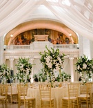 Tall White Floral %26 Greenery Centerpieces
Photography: Karlisch Photography
Read More:
http://www.insideweddings.com/weddings/traditional-mass-classic-wedding-reception-on-new-years-eve/1261/ wedding reception columns gold chairs ivory linen greenery white flower centerpiece heatherlily