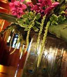 Peacock Flower Arrangement
Photography: Jenn Barnett Photos
Read More:
http://www.insideweddings.com/weddings/peacock-themed-june-wedding-in-minnesota/283/ Wedding reception tropical floral arrangement