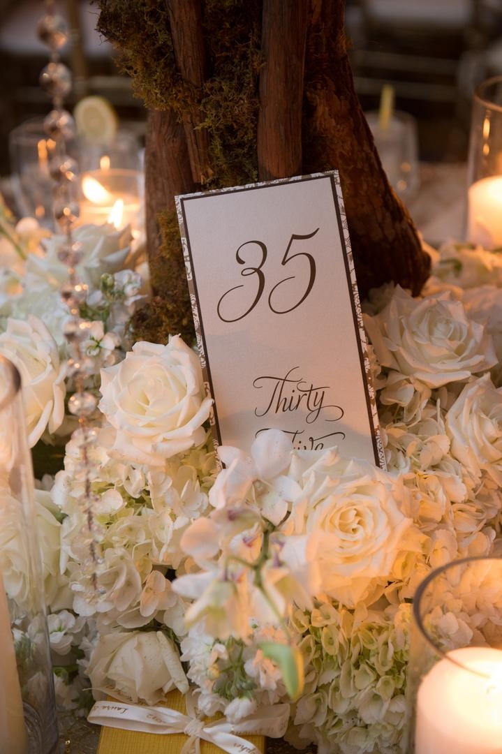 Woodsy Table Number
Photography: Justin Marantz
Read More:
http://www.insideweddings.com/weddings/unforgettable-miami-wedding-with-acrobats-tiger-cubs-fireworks/437/ Table number card in front of tree trunk with brown stationery