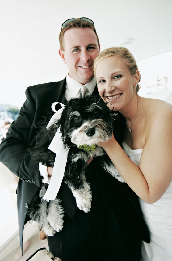 The Newlyweds' Dog
Photography: Tamara Lackey Photography
Read More:
http://www.insideweddings.com/weddings/lime-green-hued-fall-wedding-in-south-carolina/219/ Black and white puppy with couple