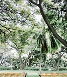 Simple Hawaiian Wedding Ceremony
Photography: Petula Pea Photography
Read More:
http://www.insideweddings.com/weddings/romantic-outdoor-hawaiian-destination-wedding-with-lilac-details/1221/ outdoor wedding ceremony hawaii wood vineyard chairs greenery white purple flowers palm trees