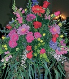 Colorful Floral Arrangement
Photography: Christine Hall Photography
Read More:
http://www.insideweddings.com/weddings/brooke-anderson-and-james-walker-iii/133/ Reception centerpiece with abundance of flower types