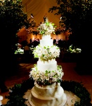 Towering Wedding Cake
Photography: Simone %26 Martin Photography
Read More:
http://www.insideweddings.com/weddings/sophisticated-wedding-at-southern-california-estate/296/ Seven layer white cake with sugar flowers