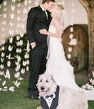 Bride %26 Groom with Dog in Tux
Photography: Clane Gessel Photography
Read More:
http://www.insideweddings.com/weddings/rustic-inspired-summer-wedding-at-a-vineyard-in-northern-california/651/ Bride in a strapless Hayley Paige dress and veil kisses groom, dog in a tuxedo bib sits nearby