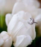 Halo Engagement Ring
Photography: John Solano Photography
Read More:
http://www.insideweddings.com/weddings/beverly-hills-summer-wedding-with-flower-details/326/ Cushion cut diamond with halo and pave setting on white tulip