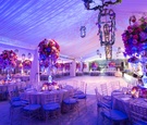 Purple & Pink Reception Lighting