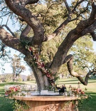 Bar Around Tree
Photography: Heather Kincaid
Read More:
http://www.insideweddings.com/weddings/jewish-ceremony-romantic-fall-reception-decor-in-ojai-california/1216/ ojai valley inn wedding, bar around tree with flowers