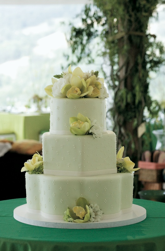 Wedding Cake
Photography: Sherman Chu Photographer
Read More:
http://www.insideweddings.com/weddings/elegant-garden-style-vineyard-wedding-in-sonoma-california/205/ Green wedding cake with green and white flowers