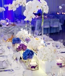 Long-Neck Centerpiece
Photography: Bob %26 Dawn Davis Photography
Read More:
http://www.insideweddings.com/weddings/modern-purple-blue-white-wedding-at-contemporary-chicago-venue/541/ White orchid in bulb vase with floating candles at reception