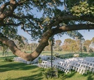 Outdoor Ceremony by Sprawling Tree