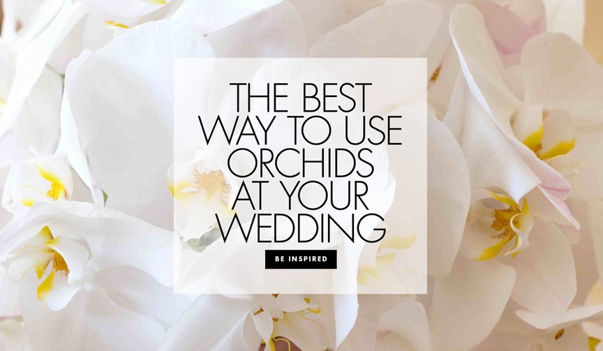 Your Guide to Using Orchids in Your Wedding
Article: Your Guide to Using Orchids in Your Wedding
Photography: Bob %26 Dawn Davis Photography
Read More:
http://www.insideweddings.com/news/planning-design/your-guide-to-using-orchids-in-your-wedding/3977/ different ways to use orchids in your wedding decor