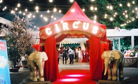 Circus-Theme Wedding for Lana
Photography: Lucy Munoz Photography
Read More:
http://www.insideweddings.com/weddings/cj-perry-and-miroslav-barnyashev/961/ Red curtains circus marquee letters red tent gold elephant decor outdoor wedding cafe lights CJ