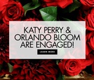 Orlando Bloom Proposed to Katy Perry!
Article: Orlando Bloom Has Proposed to Katy Perry!
Photography: Yvette Roman Photography
Read More:
http://www.insideweddings.com/news/celebrity-style/orlando-bloom-has-proposed-to-katy-perry/4693/ You have to see her unique engagement ring.