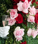 Gloved Hand with Champagne
Photography: Collin Pierson Photography
Read More:
http://www.insideweddings.com/weddings/equestrian-themed-bridal-shower-inspired-by-the-kentucky-derby/1326/ gloved hand reaching out from boxwood and rose wall to serve champagne