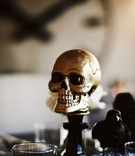 Black Bird %26 Skull Décor
Photography: Stephanie Rogers Photography
Read More:
http://www.insideweddings.com/weddings/spooky-sophisticated-halloween-themed-wedding-reception/1187/ halloween wedding ideas gold skull on top of candlestick and black raven crow