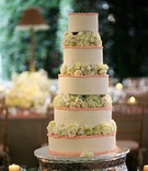 Green Flower Cake
Photography: Jessica Claire Photography
Read More:
http://www.insideweddings.com/weddings/sentimental-ceremony-tented-reception-in-maryland/203/ white cake with pink trim and green flowers between each tier