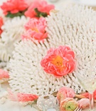 White Coral Centerpiece
Photography: Steve Steinhardt
Read More:
http://www.insideweddings.com/weddings/tropical-romantic-destination-wedding-in-hawaii/397/ Hawaiian sea coral with pink flowers inside
