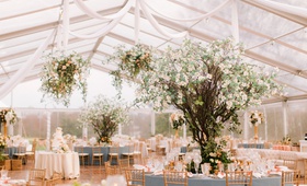 Greenhouse-Inspired Reception
Photography: Switzerfilm
Read More:
http://www.insideweddings.com/weddings/romantic-greenhouse-inspired-wedding-with-a-spring-color-palette/1352/ wedding reception clear top tent dogwood trees flower chandeliers peach pink blue gold color palette