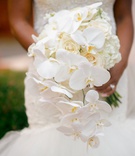 Cascading Phalaenopsis Orchid Bouquet
Photography: Kesha Lambert Photography
Read More:
http://www.insideweddings.com/weddings/elegant-white-gold-country-club-wedding-in-north-carolina/1282/ wedding bouquet white hydrangea rose and phalaenopsis orchid mermaid wedding dress veil cascading