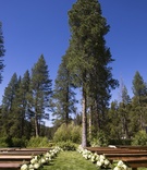 Rustic Lake Tahoe Ceremony Decor
Photography: Catherine Hall Studios
Read More:
http://www.insideweddings.com/weddings/rustic-classic-summer-wedding-in-lake-tahoe-california/645/ Green grass and trees with wood pews